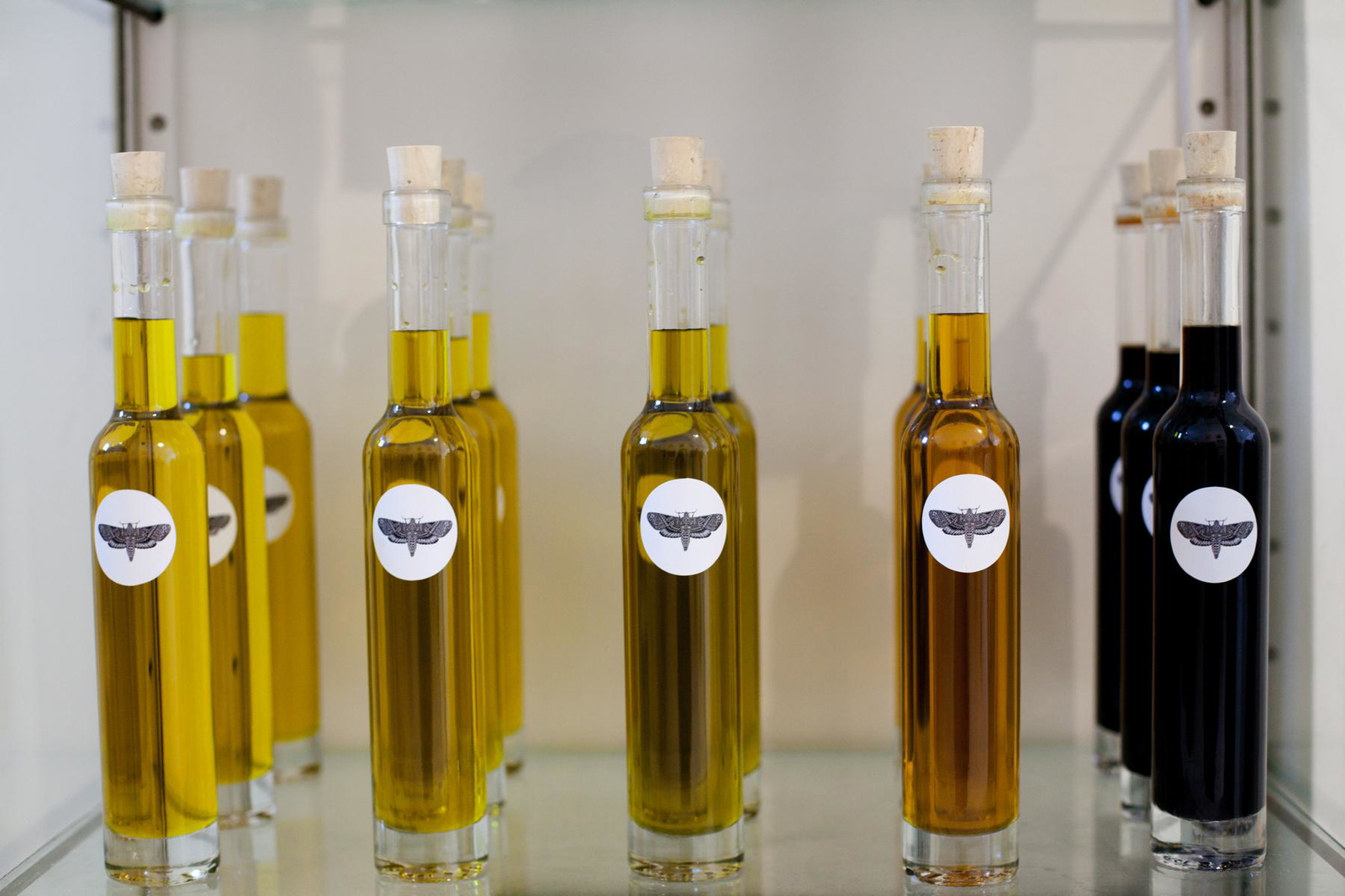 COTTONCAKE FEB12 016