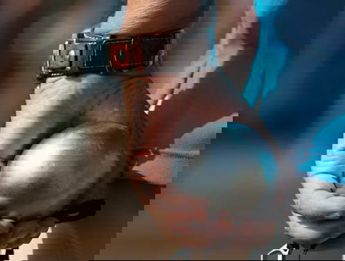 Mooie Boules, foodhal en jeu de boulesbaan inéén