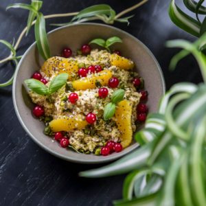 The Birdhouse, de woonkamer van de Plantage