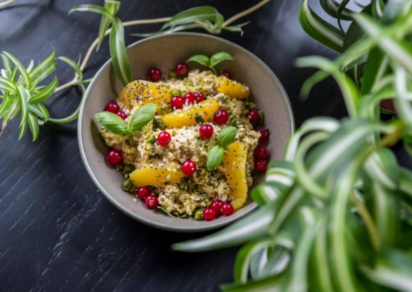 The Birdhouse, the living room of the Plantation