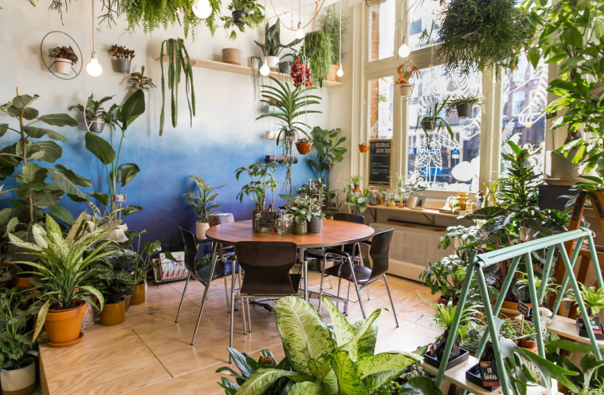 wildernis-amsterdam-west-winkel