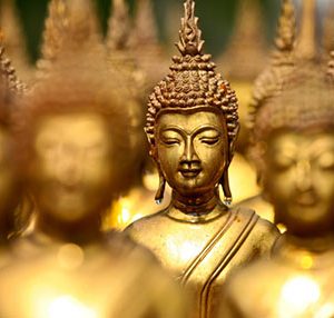 Authentieke Thaise smaken bij restaurant Bird