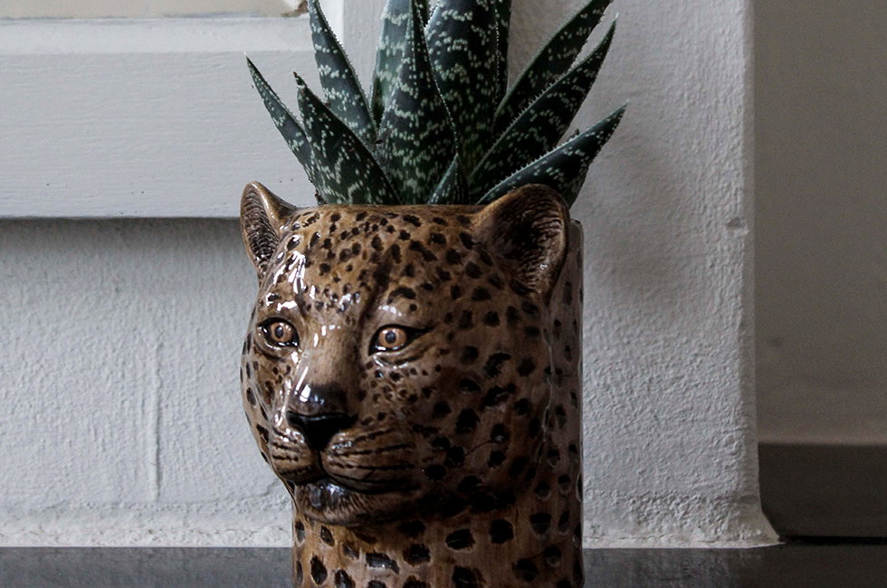 things-i-like-amsterdam