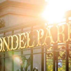 Vondelpark: het groene hart waar Amsterdammers samenkomen