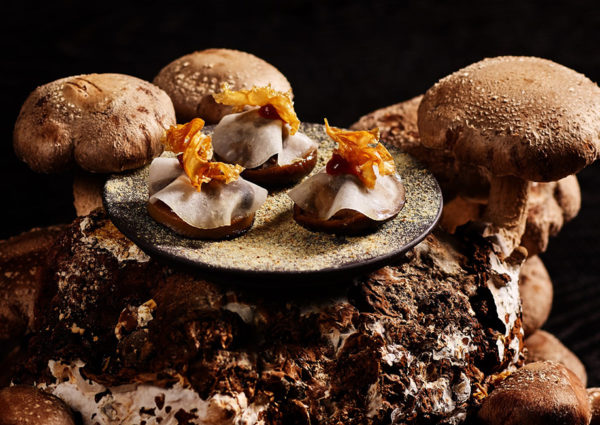 Taiko Cuisine: Kersenbloesems in het Conservatorium Hotel