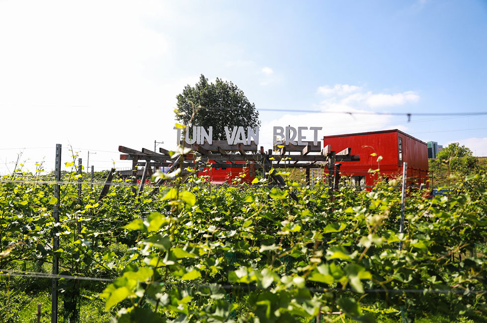 bret-amsterdam-dakterras