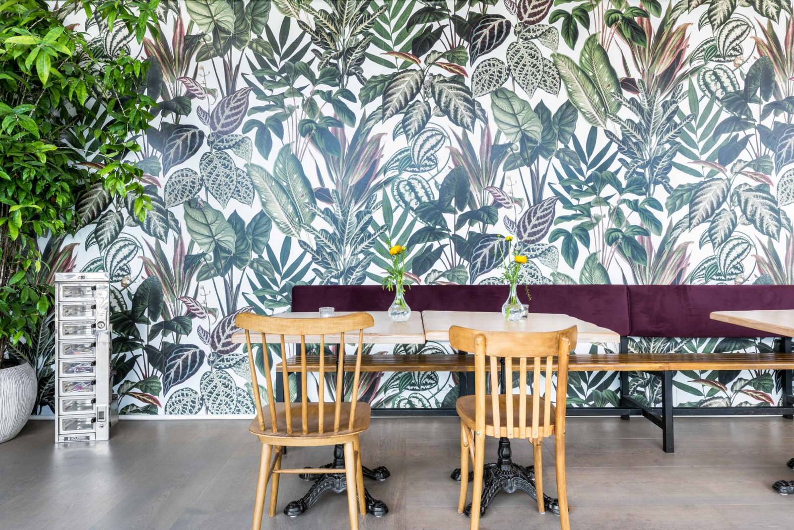 Wild Croquettes-Amsterdam