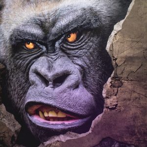 A’DAM Toren opent VR gaming pop-up in Club Shelter