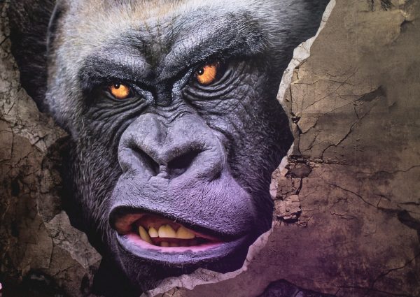 A’DAM Toren opent VR gaming pop-up in Club Shelter