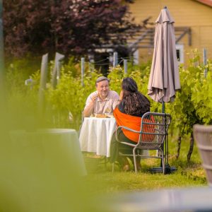 De Amsteltuin Vineyard: North Holland wine among the vines