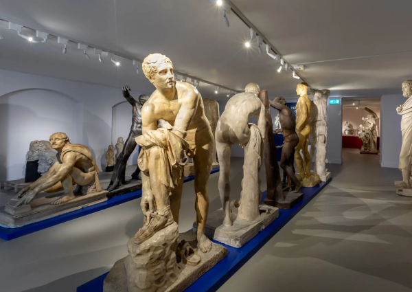Allard Pierson Museum: Archeologische schatten en universitaire geschiedenis