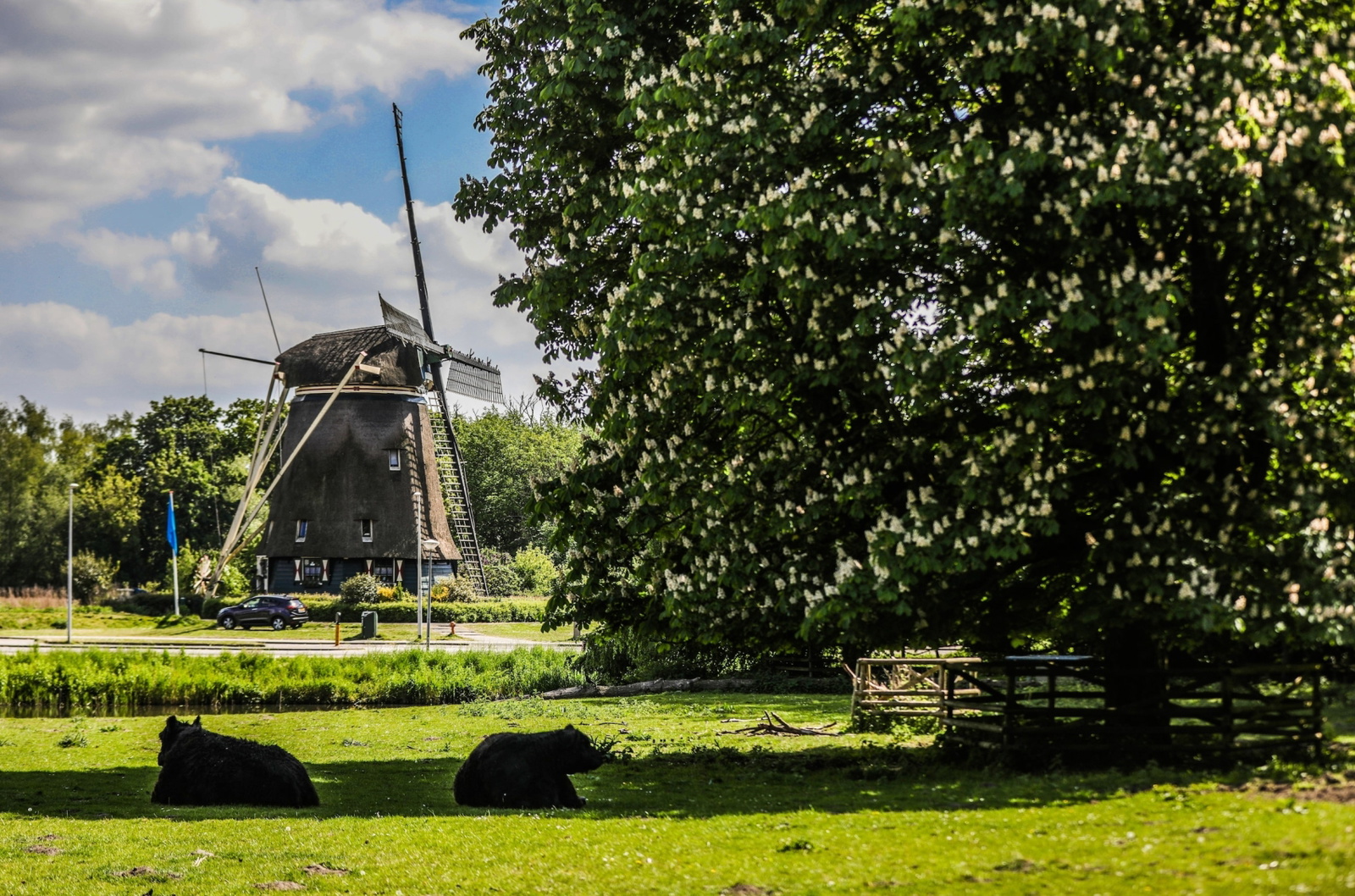 amstelpark-amsterdam amstelpark-amsterdam
