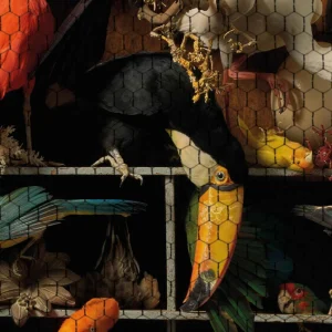 Discover the Art Zoo Museum: taxidermy at its best