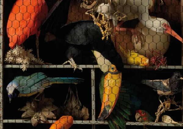 Ontdek het Art Zoo Museum: Taxidermie op zijn best