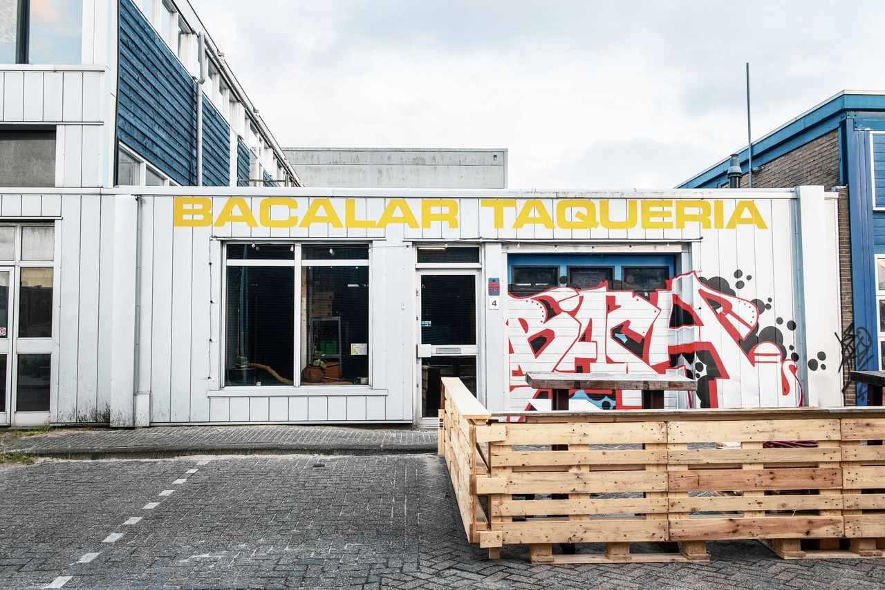 bacalar-amsterdam2 bacalar-amsterdam2