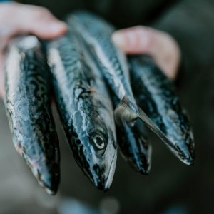 Amsterdam's best seafood restaurants: 15x the tastiest fish