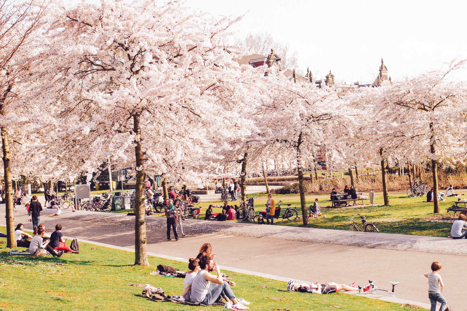 bloesempark-tuin-amstelveen-amsterdam_1