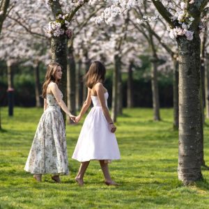 Kersenbloesem in het Bloesempark van het Amsterdamse Bos