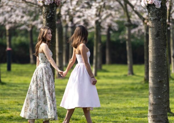 Kersenbloesem in het Bloesempark van het Amsterdamse Bos