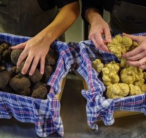 Casa Del Gusto: Italiaanse delicatessen van boerenfamilies