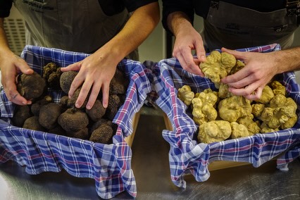 Casa Del Gusto: Italian delicacies from small farming families