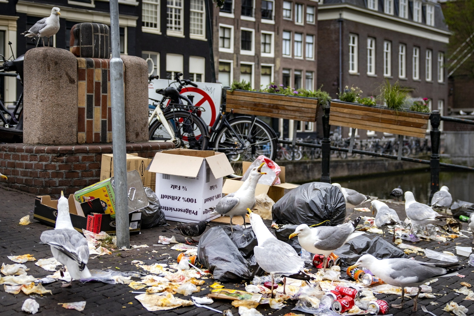 cleansday-amsterdam1