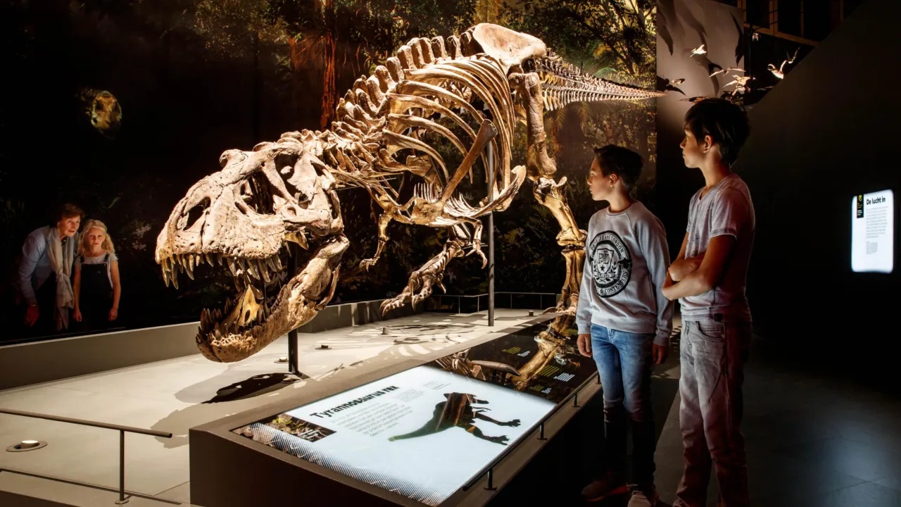 Naturalis opent deze zomer een Dino Museum op de Zuidas