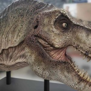 Naturalis opent deze zomer een Dino Museum op de Zuidas