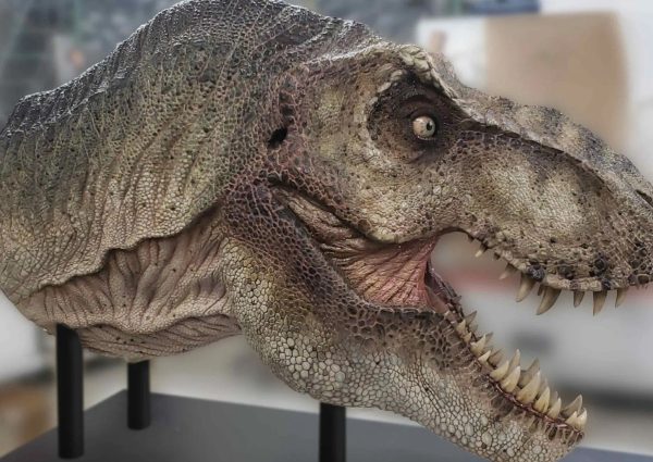 Naturalis opent deze zomer een Dino Museum op de Zuidas