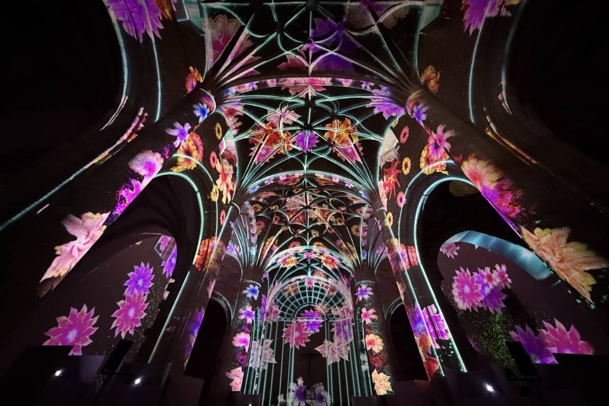 enlightenment-lichtshow-voorstelling-oosterkerk-amsterdam_3