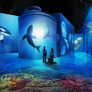 Fabrique des Lumières: Immersive art experience