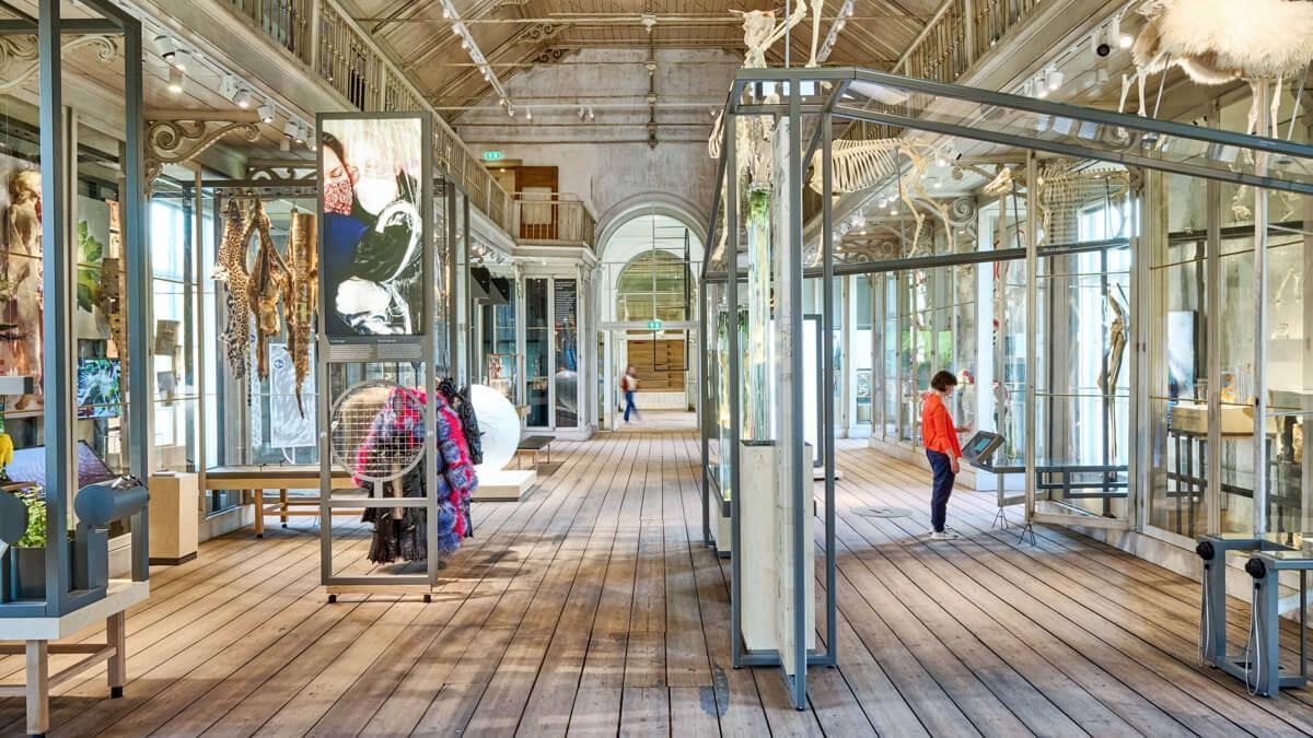 groote-museum-artis1