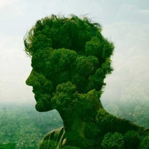 Groote Museum: Discover agreements man and nature