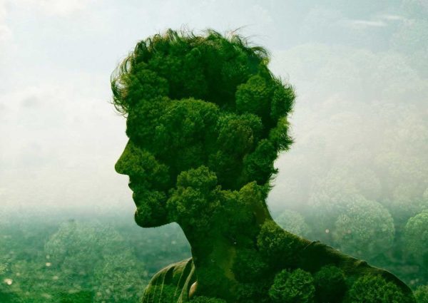 Groote Museum: Ontdek overeenkomsten mens en natuur