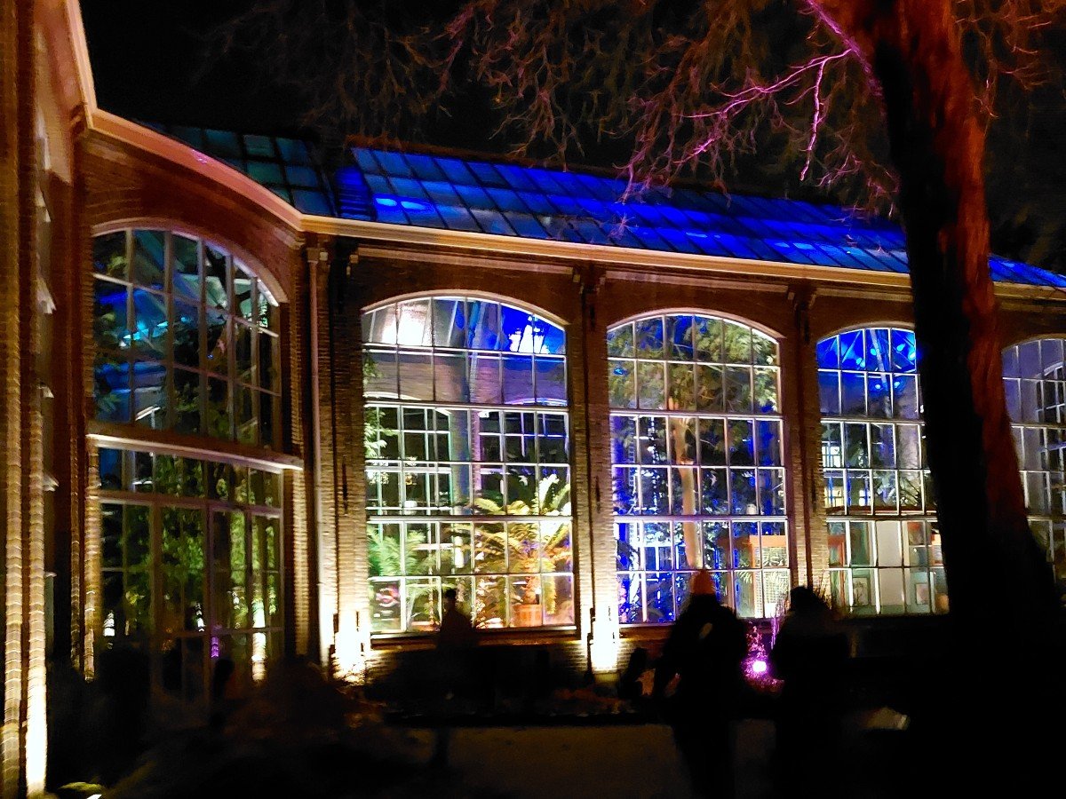 hortus-by-night-amsterdam_4