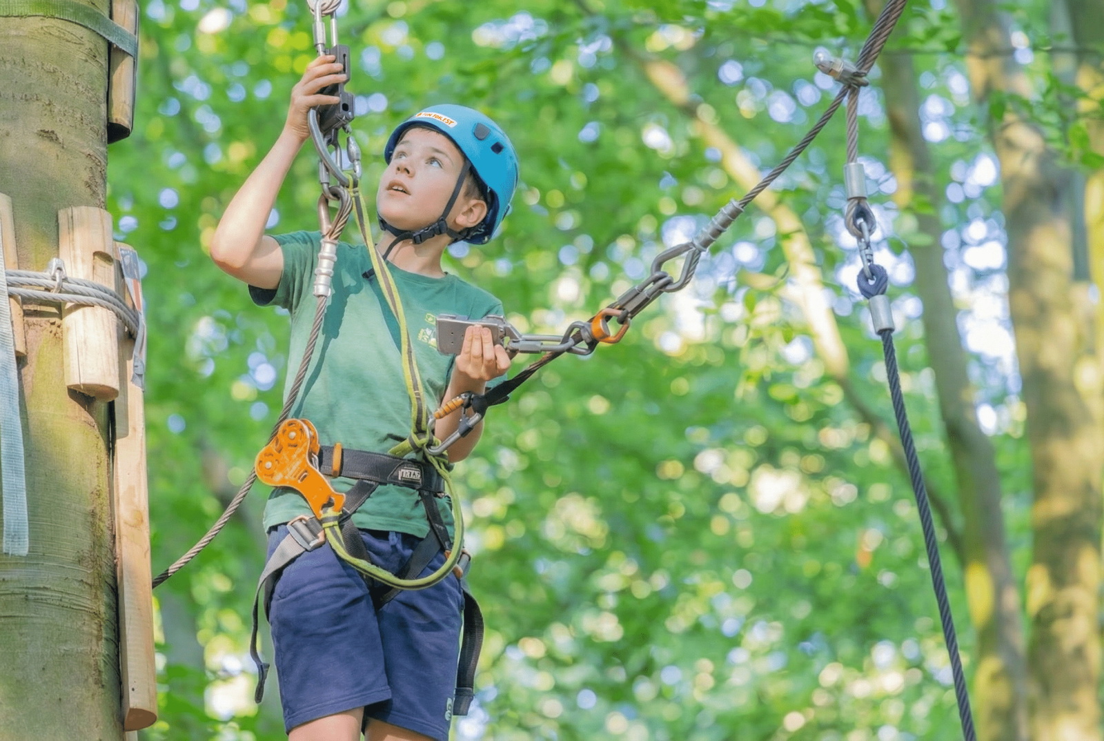 climbing forest-amsterdam_1