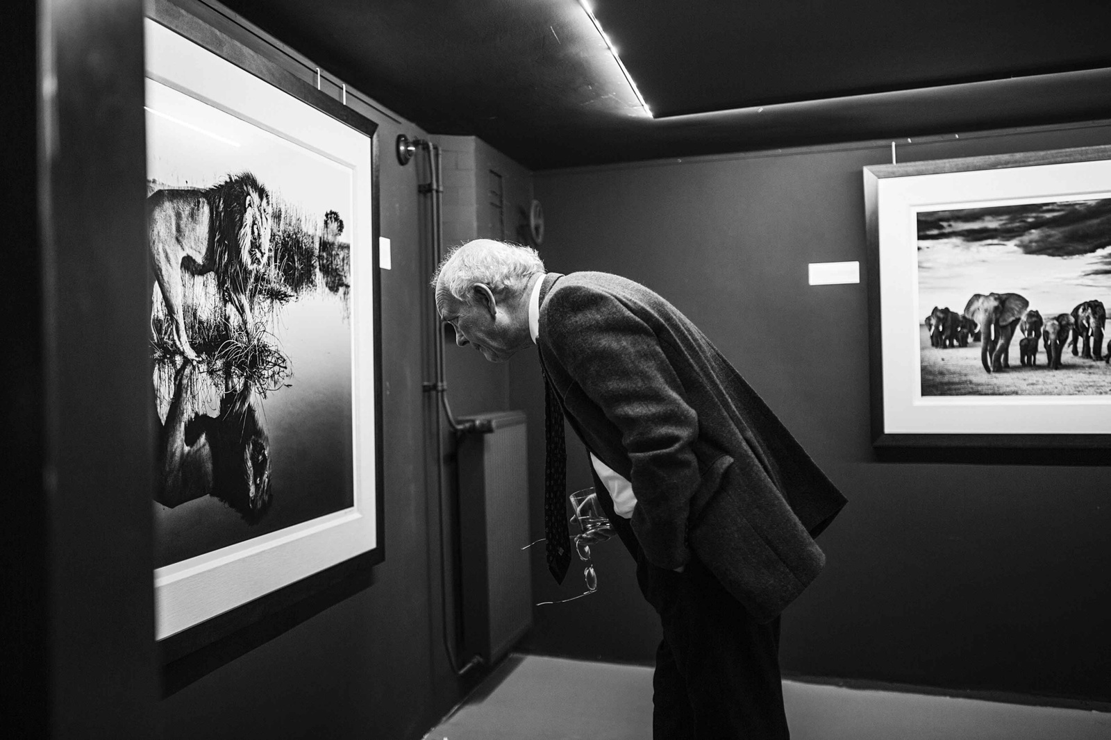 art house-amsterdam2