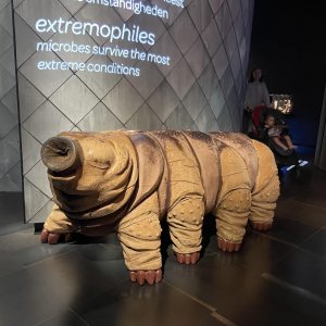 Micropia: Interactive science museum focused on microbes