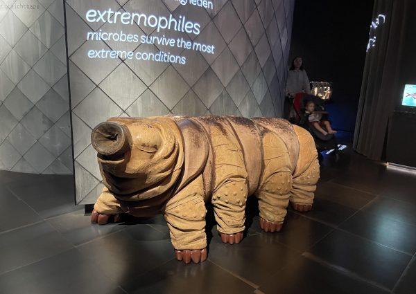 Micropia: Interactief wetenschapsmuseum gericht op microben