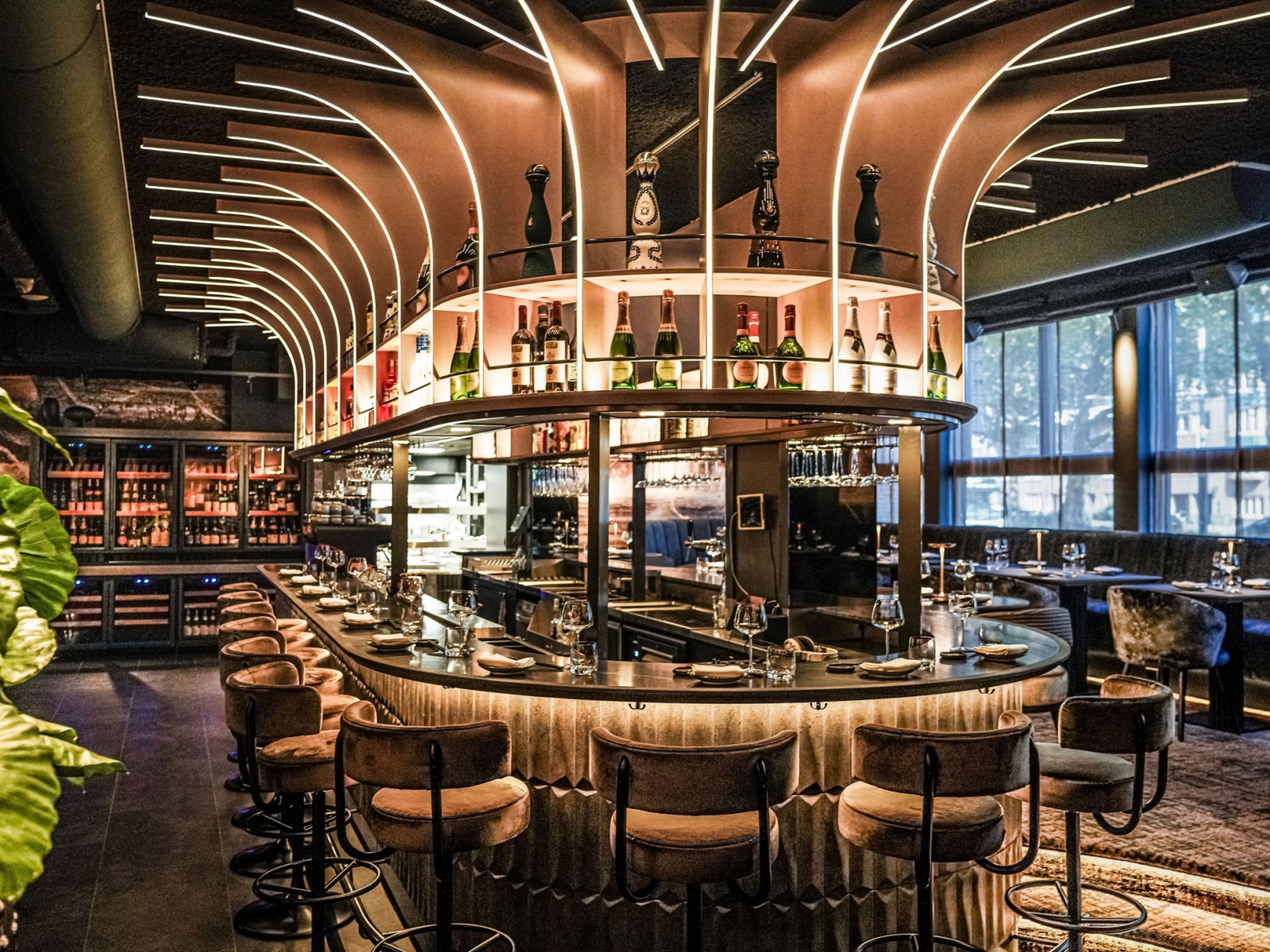 Mr. Sam Asian Bistro: Moderne Japanse keuken en bar in Zuid