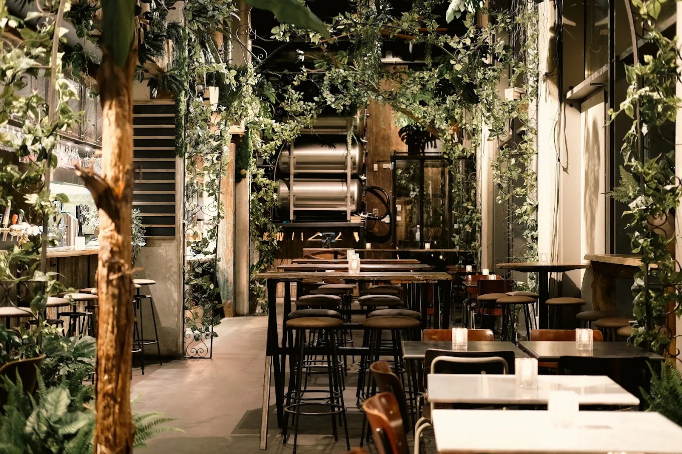 mr-watson-amsterdam1