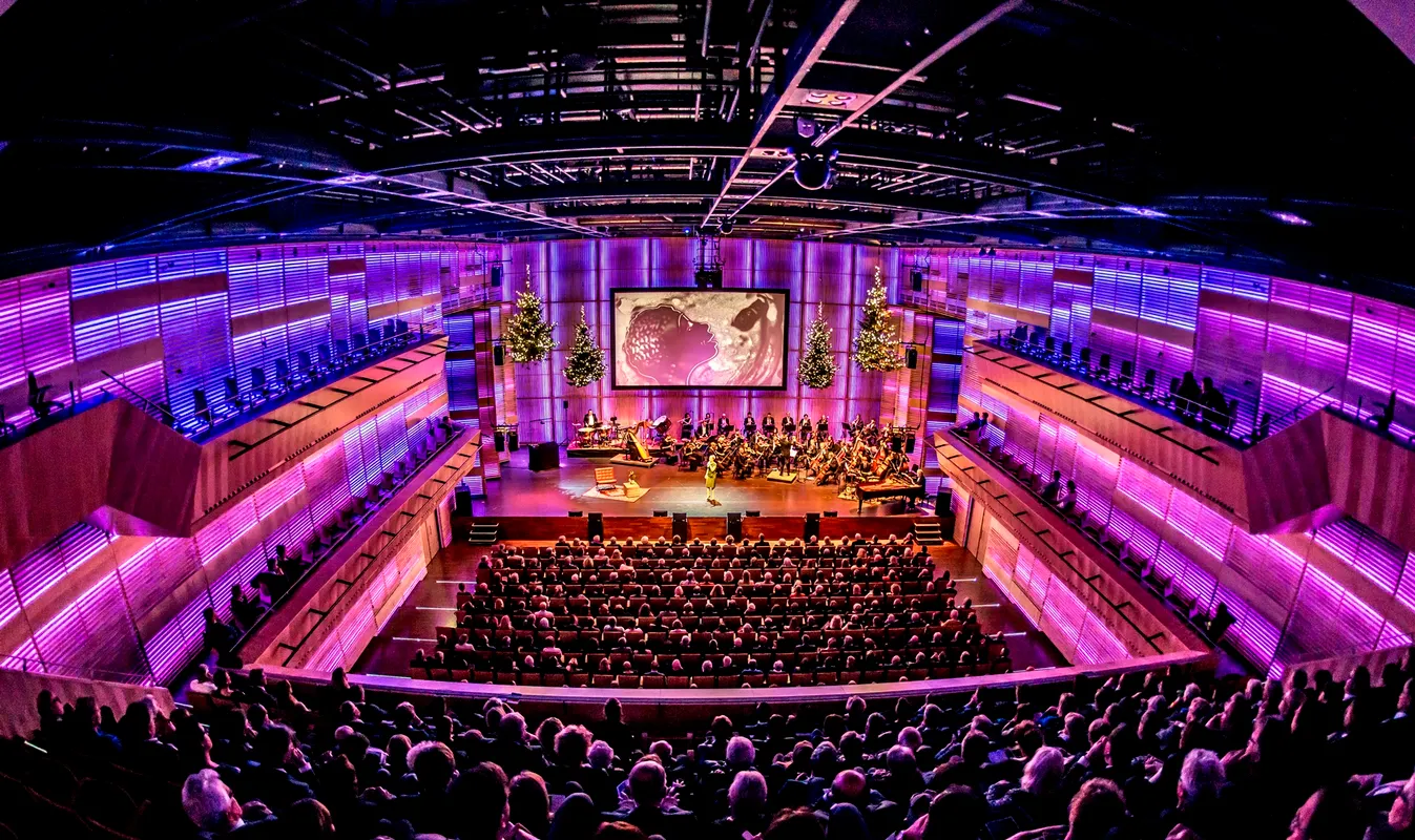 muziekgebouw-ij-amsterdam