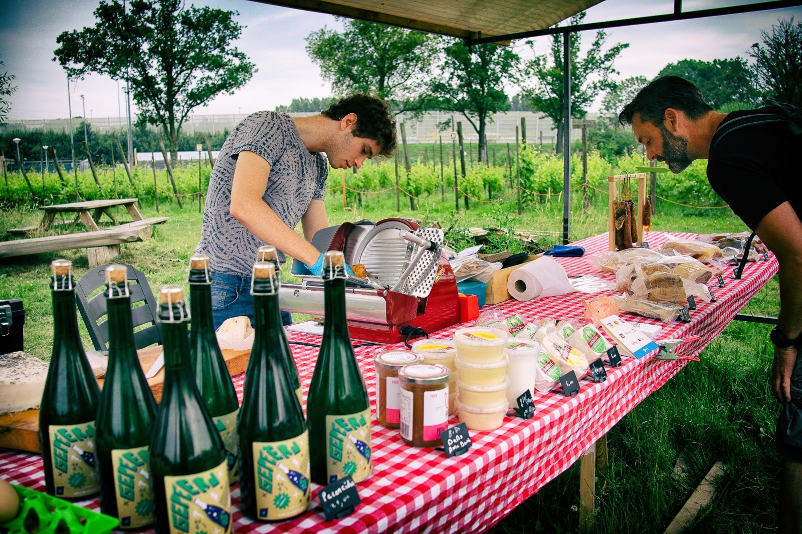 north harvest outdoor market