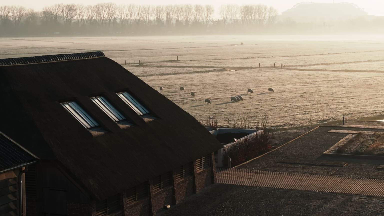 over-amstel-amsterdam1