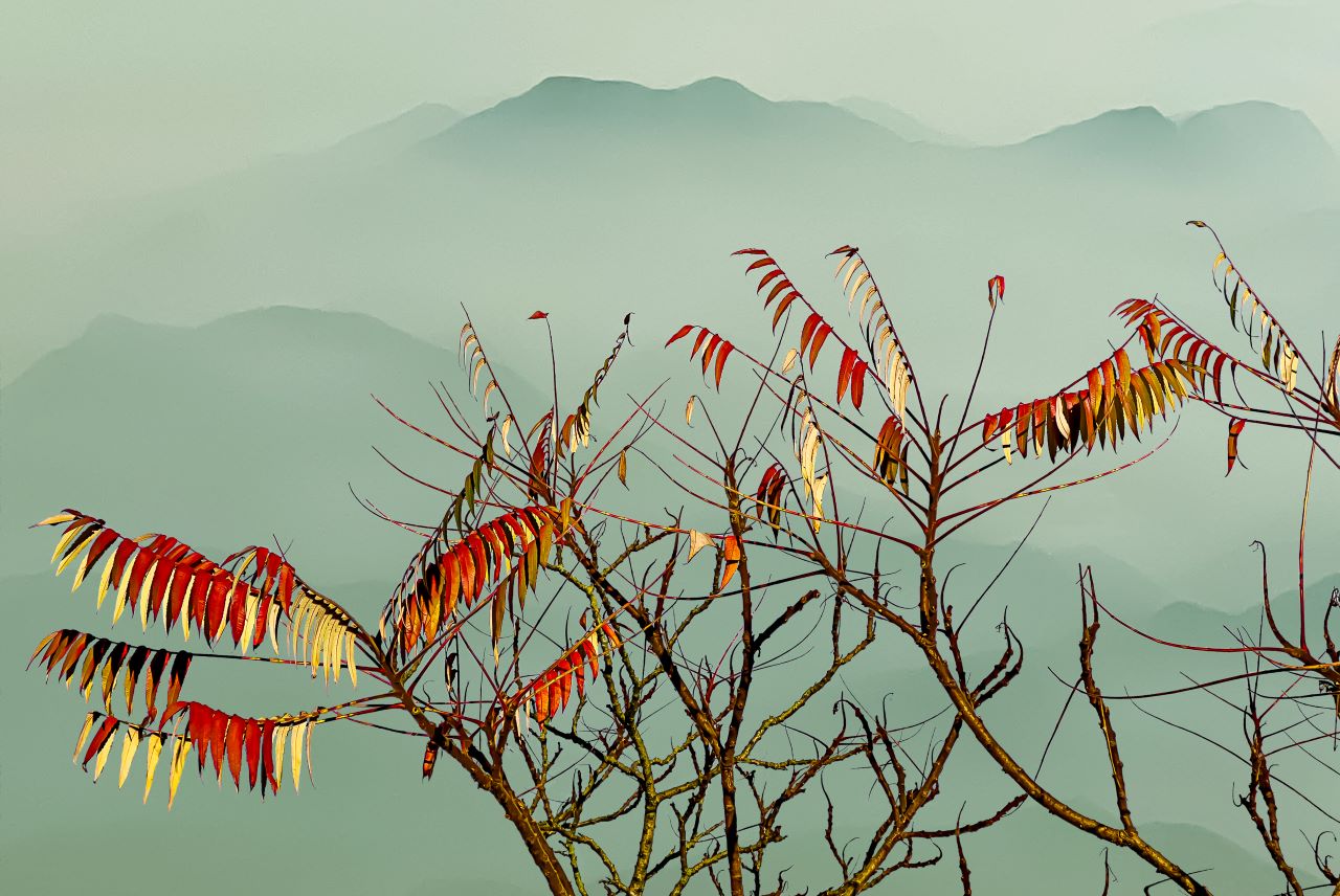 paf-foto-expositie-noord-amsterdam_2