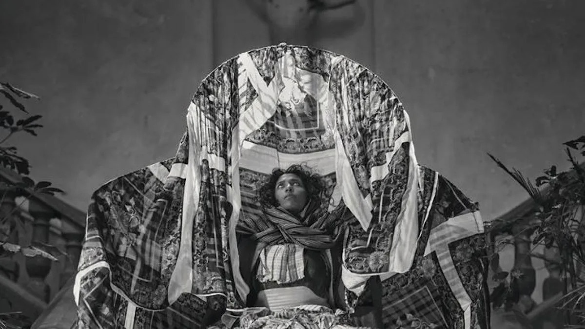 pieter-henket-birdsof-mexico-city