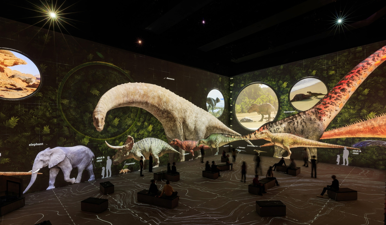 prehistoric-planet-exhibition-fabrique-des-lumieres-amsterdam_3