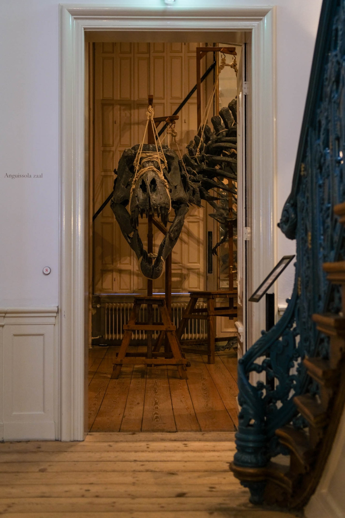 relics-prehistory-exhibition-art-zoo-museum-amsterdam