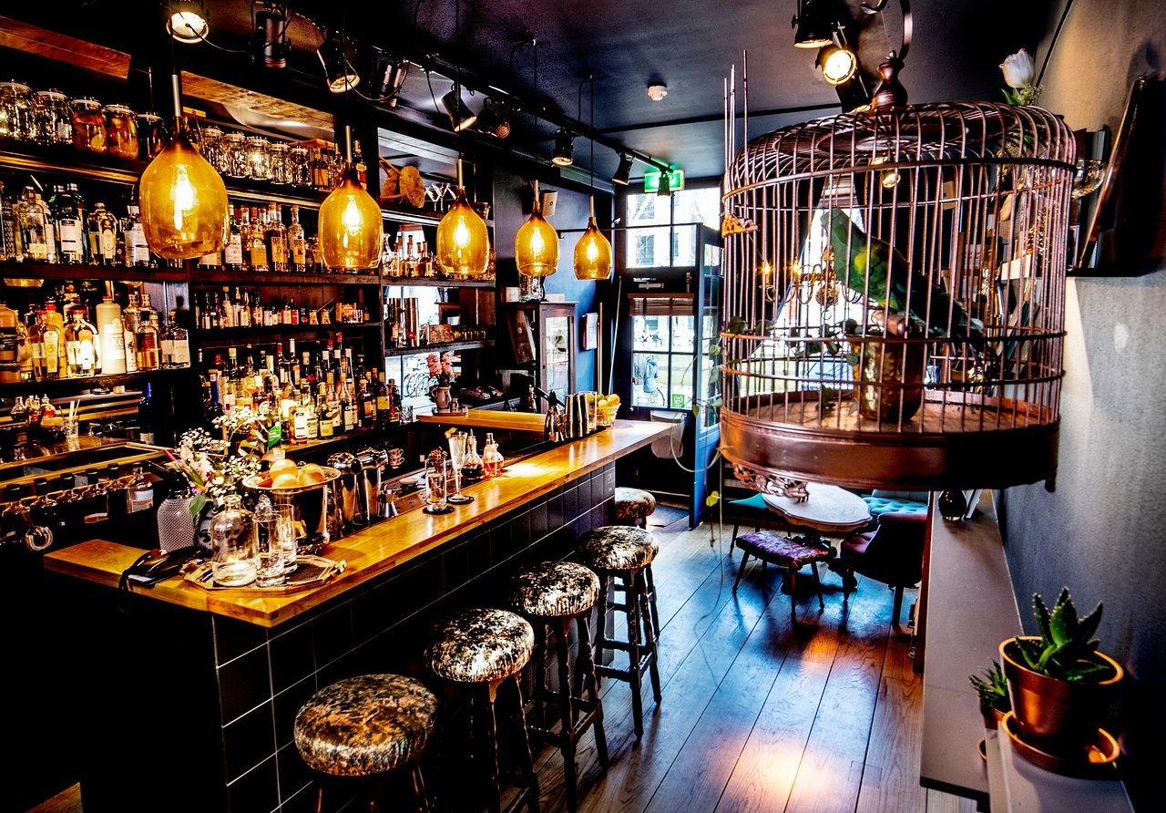 rosalias-menagerie-bar-amsterdam_1 rosalias-menagerie-bar-amsterdam_1