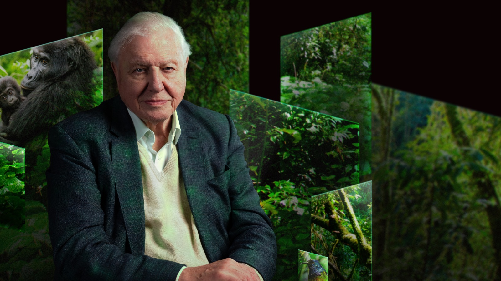 sir-david-attenborough-our-story-artis